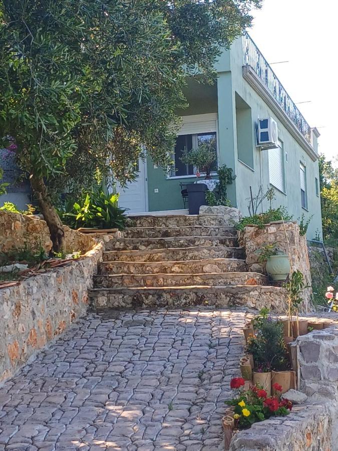 G.Tzanis Luxury Apartments 帕尔加 外观 照片